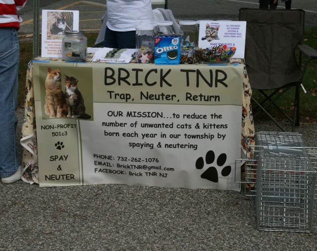 PetOberfest 2013 - Brick TNR