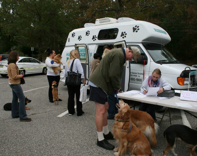 PetOberfest 2013 - Popcorn Park Shelter Micro-Chipping