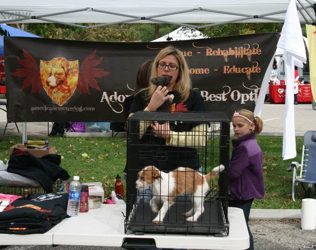 PetOberfest 2013 - American Rescue Dog