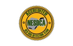 We Have The Most NESDCA Certified Teams in New Jersey!