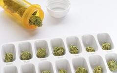 Tips from a New Jersey Cannabis Patient Consultant